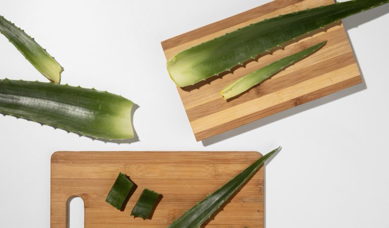 Discover These 9 Benefits of Using Aloe Vera